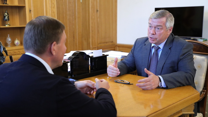 Доходы растут: Ростовский губернатор отчитался о своих заработках за 2019 год