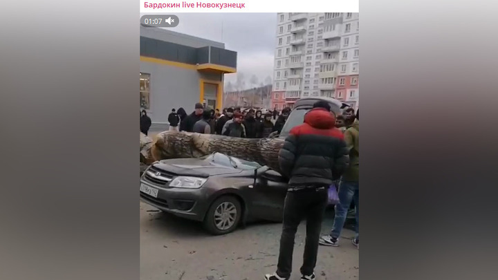 Упавшее на машину дерево убило двух человек в Новокузнецке
