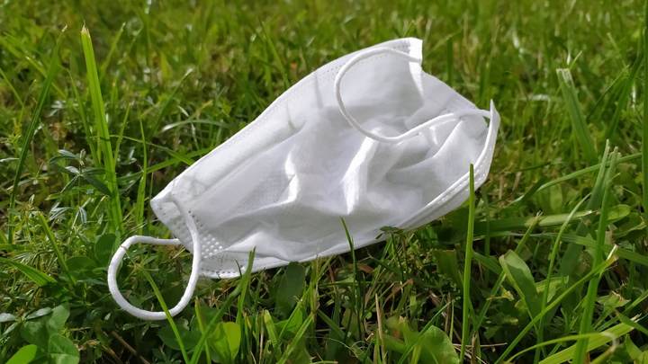 В России выявили новый подвид коронавируса