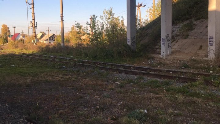 В Новосибирской области поезд сбил 18-летнюю девушку