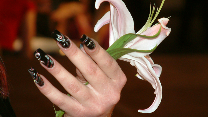 Заживём. На моря поедем: Чёрная вдова раскрыла свой бизнес-план на СВО. Отсчёт пошёл на часы