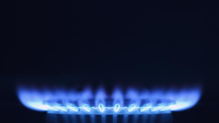 Как были наглецами, так и остались: В Сети объяснили заботу Берлина о газовом благополучии Украины