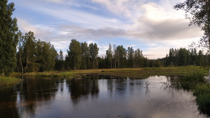 Свалка на Щучьем озере исчезнет за 35 миллионов рублей