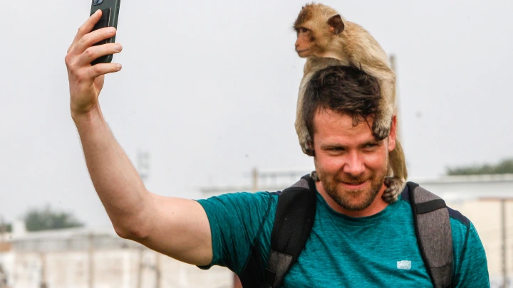 Мошенники нацелились на русских туристов в Турции, Таиланде и ОАЭ: Отдыхающие теряют сотни тысяч