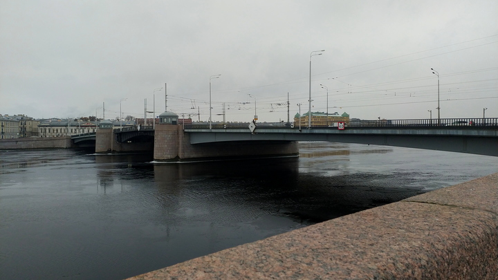 В Петербурге нашли малых поганок: что это такое