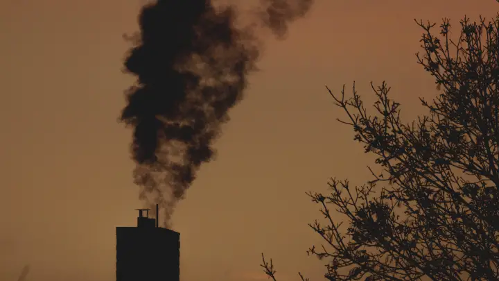 В Архангельской области запустили самую мощную пеллетную котельную В Архангельской области запустили самую мощную пеллетную котельную