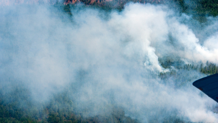 Виновата сухая гроза: Путин поручил восстановить сгоревшие дома в Челябинской области