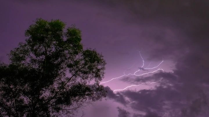 Смертельный удар в горах: молния убила пастуха и стадо в Карачаево-Черкессии