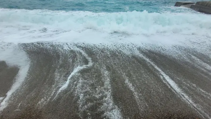 Раковины с глазами выдры: шторм выбросил на пляж жутких морских существ