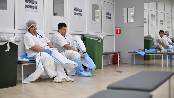 Коронавирус на Кубани к 21 марта: в тяжёлом состоянии на аппаратах ИВЛ и ЭКМО остаётся 81 пациент