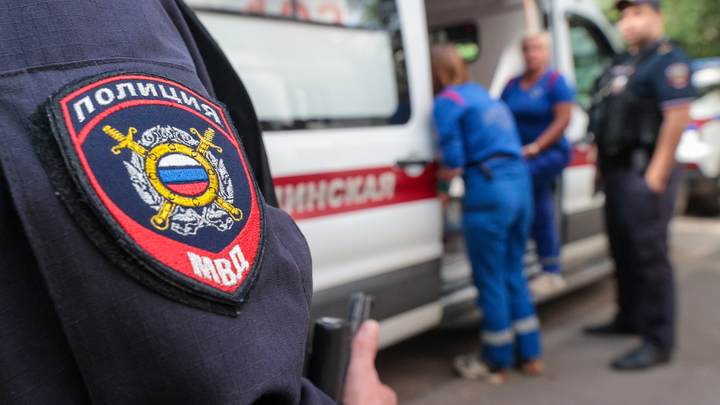 Били толпой палками: в Новосибирске произошла массовая драка с участием цыган