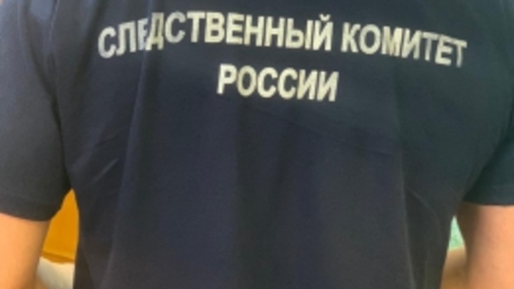 В Подмосковье отец избил и зарезал бывшего мужа дочери