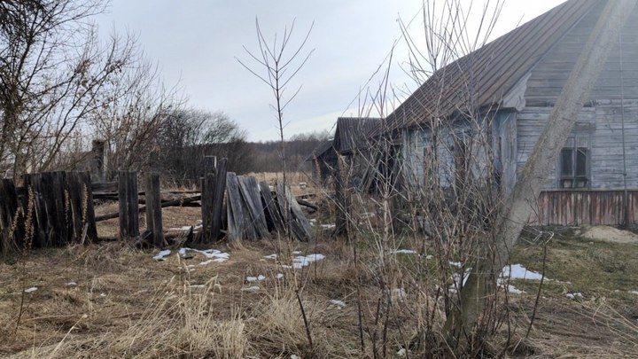 Теракт в Брянской области. В Кремле уточнили про расследование