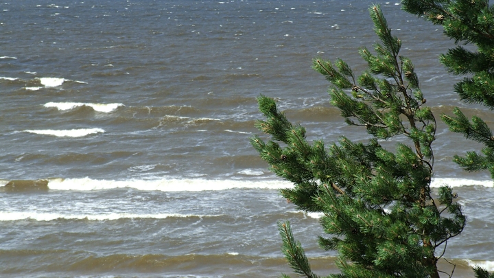 В Новороссийске объявлено штормовое предупреждение: Ожидаются пятиметровые волны и ураган