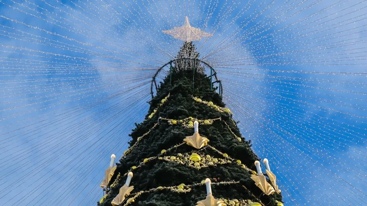Итальянский телеведущий Федерико Арнальди испытал культурный шок от русского Нового года