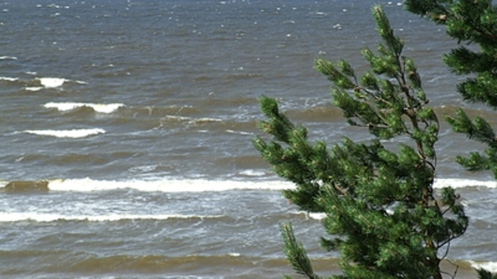 Норд-ост на Кубани: в Новороссийске от ветра пострадала девушка, а в Геленджике перевернулась фура