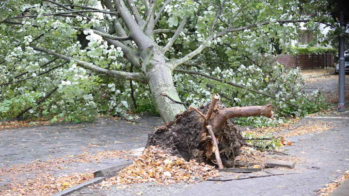 Непогода свирепствует: Италия и Франция оказались во власти мощного урагана