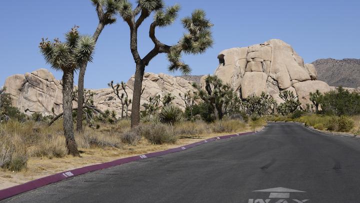 Секретные военные разработки США попали в объектив: Новейшие самолёты пролетали над пустыней