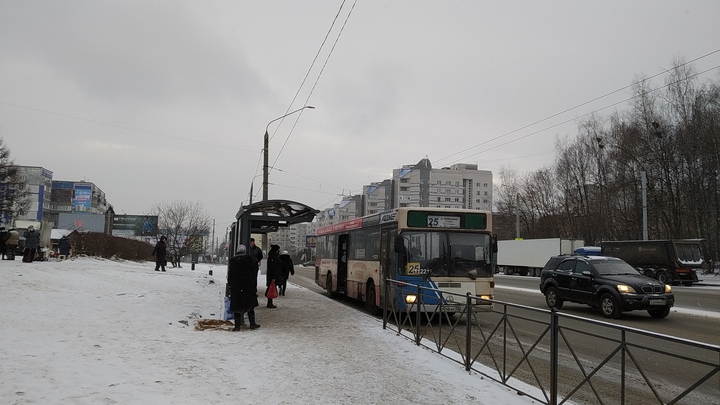 Заборы не помогают: во Владимире за год в два раза выросло число сбитых пешеходов