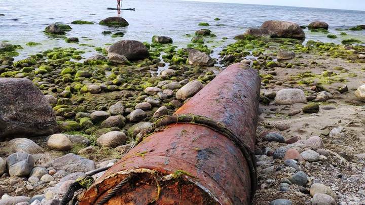 В Новороссийске уничтожили три торпеды времен Великой Отечественной войны