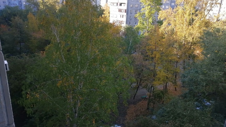 В Челябинской области погода будет прохладной и немного дождливой