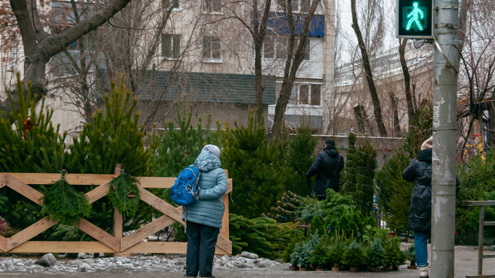 В Краснодаре с 15 декабря начнут продавать новогодние ёлки: адреса базаров