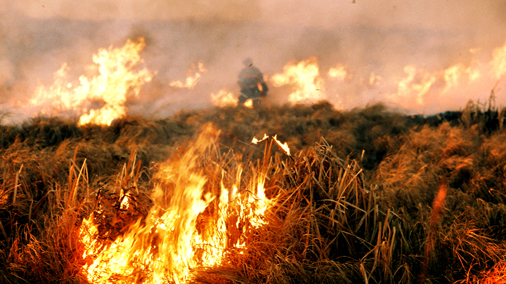 Почему жители Забайкалья поджигают собственные степи