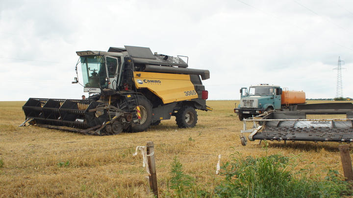 Накормим Россию. Ростовская область стала лидером в стране по количеству собранного зерна