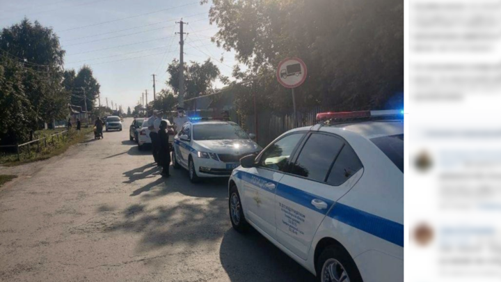 В Новосибирской области иномарка сбила насмерть 1,5-годовалую девочку