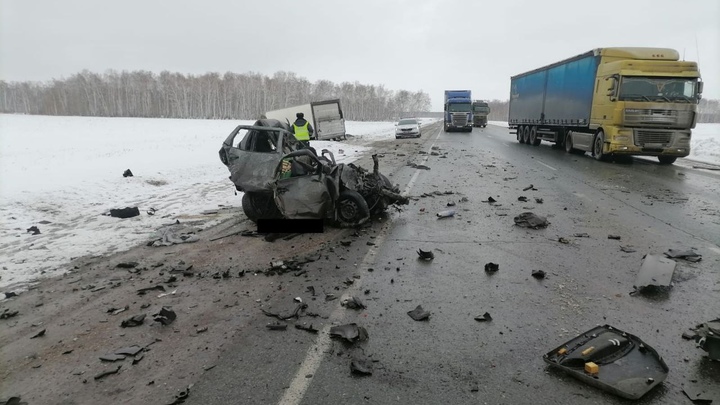 Водитель и пассажирка Лады погибли в ДТП с фурой в Новосибирской области