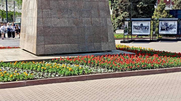 На клумбах у Вечного огня и памятника Добровольцам-танкистам в Челябинске появились цветы