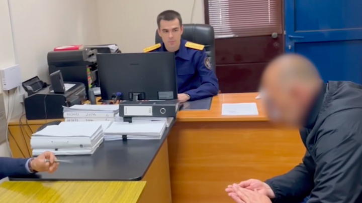 Дело владельца собак, загрызших в Сочи 12-летнюю девочку, передано в суд