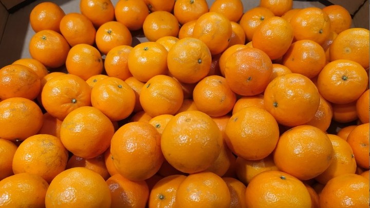 Как отличить спелые мандарины: Секреты раскрыли эксперты Роскачества