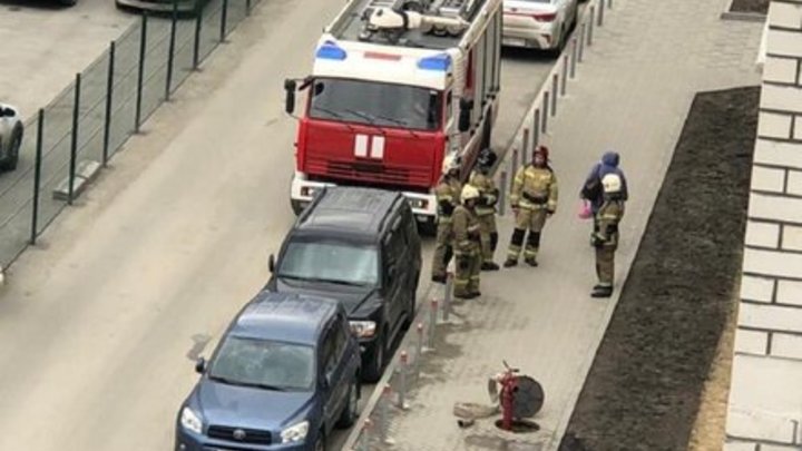 Житель Екатеринбурга нашёл схрон с боеприпасами и принёс находку в отдел полиции