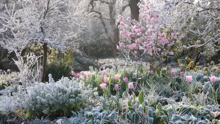 Заморозки и гололедица: Прогноз погоды удивил – пора доставать тёплые вещи