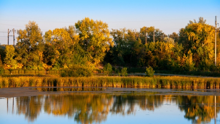Бабьего лета не ждём? Синоптики назвали регионы России, где сентябрь будет холодным и дождливым