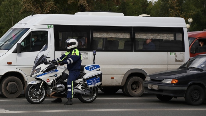 В Челябинской области осудили двух сотрудников ГИБДД, покрывавших чёрных лесорубов