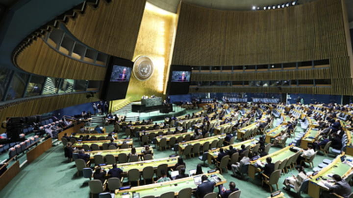 Киев намерен своровать у России $ 300 миллиардов с помощью ГА ООН