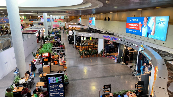 Пытались везти с нарушением правил. Что стало с котом, не допущенным на самолёт вместе с хозяевами