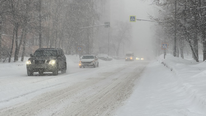 Из машины придётся выйти: Приказ ГИБДД, который должен знать каждый водитель
