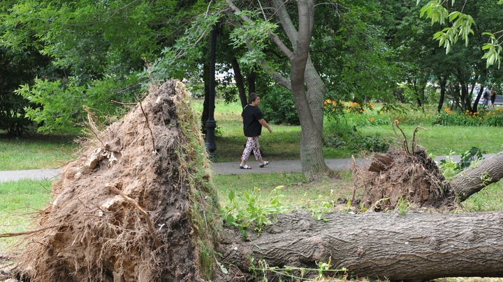 В Кропоткине сильным ветром сорвано крышу со здания школы