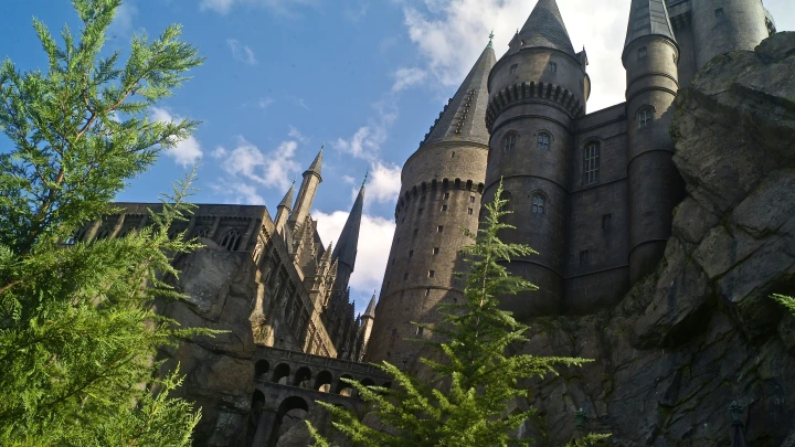 Иван Грозный в школе волшебства Хогвартс. Что? Да, именно так: Смотрите внимательно