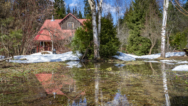 В Петербурге запретили посещать лесопарки и жечь костры почти на три месяца