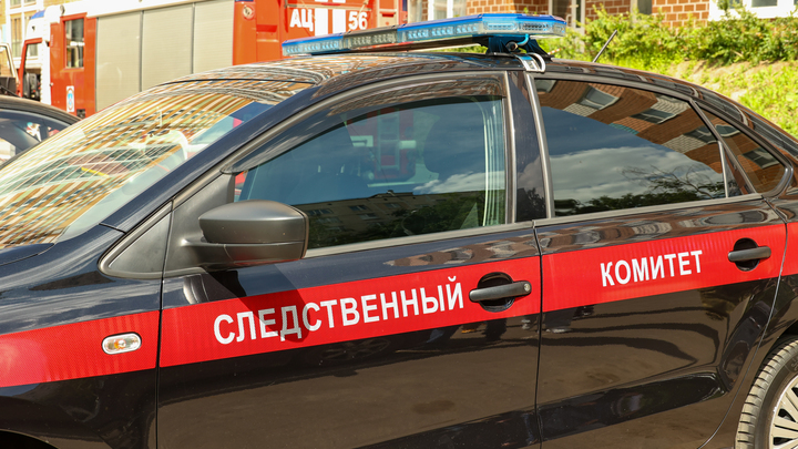 В Новосибирске СК начал проверку после публикаций о маргинальной семье с детьми