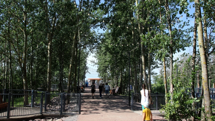 Опасность нарастает: Петербуржцам запретили гулять в скверах и садах