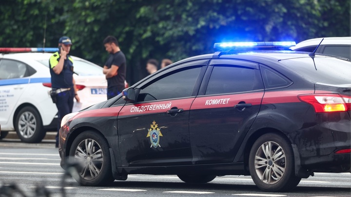 Бастрыкин потребовал доклад о нападениях мигрантов на жителей Балашихи