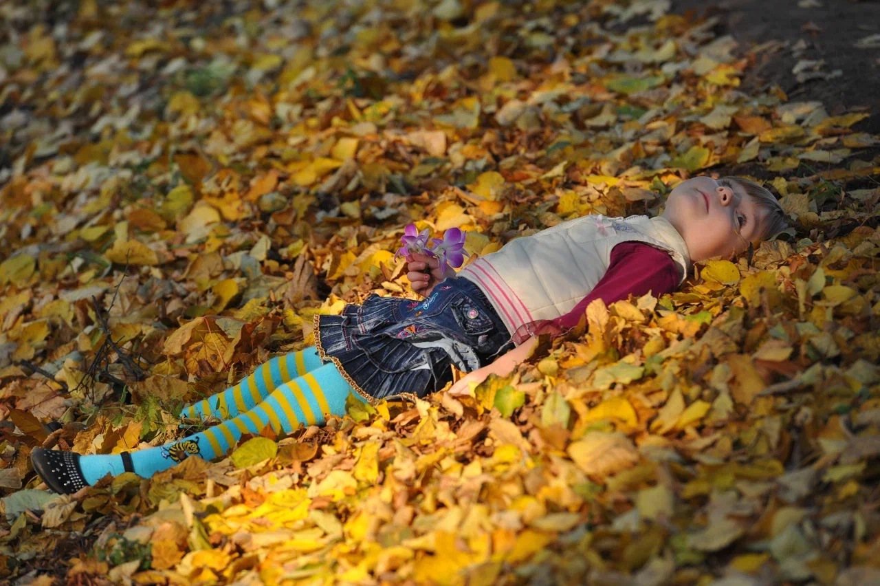 Аномальный сентябрь в России. Бабьего лета не ждать?