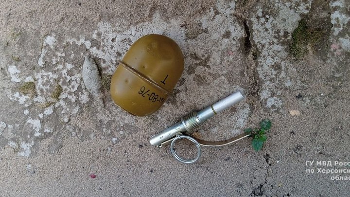 Полицейские изъяли гранату у жителя Голой Пристани