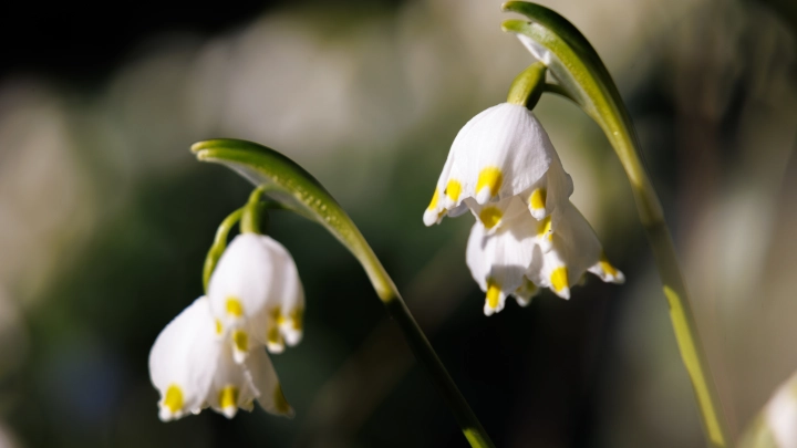 Какие ещё сюрпризы готовит погода: Прогноз на лето и осень 2025 года