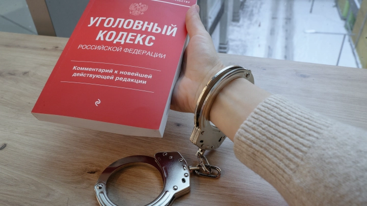 Жительница Плесецкого района планировала начать год с жестокого убийства